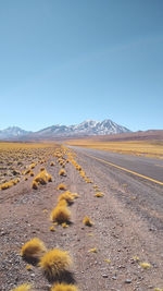 Scenic view of landscape against clear sky