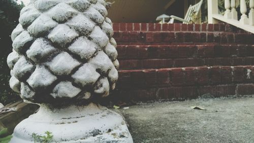 Lizard on stone wall