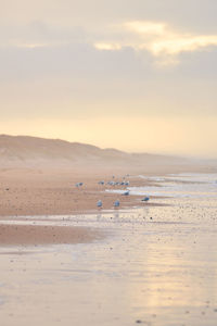 Scenic view of beach against sky during sunset