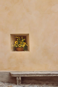 Potted plant in hold of wall in building