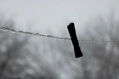 Low angle view of barbed wire against sky