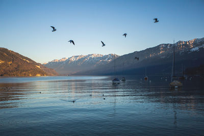 Scenic view of calm lake