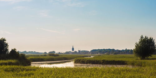 Scenic view of field against sky