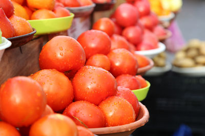 Tomatoes selling on local farm market, eco vegetables, juicy products. shopping organic products.