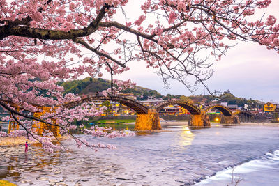 Arch bridge over river by trees against sky