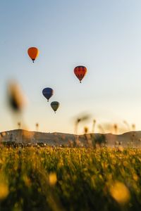 Hot air balloons flying against sky