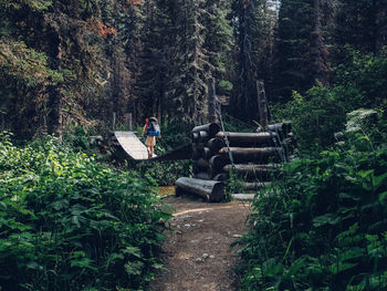 Man standing on footbridge at forest