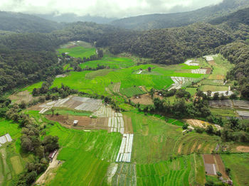 High angle view of agricultural landscape