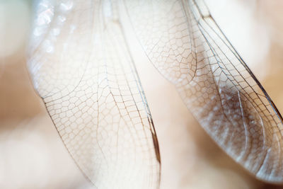 Close-up of woman hand on floor