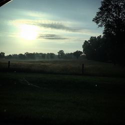 Scenic view of grassy field against sky at sunset