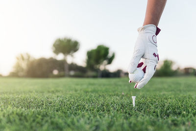 Cropped hand keeping golf ball on tee