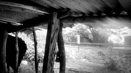 Close-up of built structure by trees