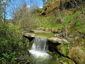 Scenic view of waterfall in forest