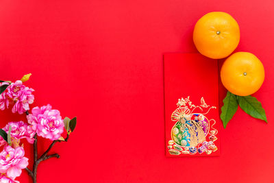 Close-up of orange flower against red background