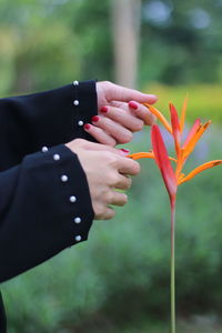 Close-up of hand holding red flowering plant