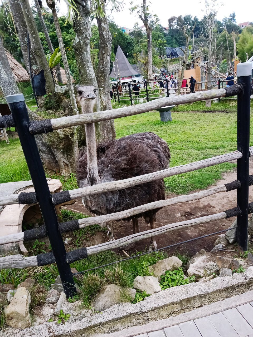 VIEW OF A FENCE IN THE GROUND