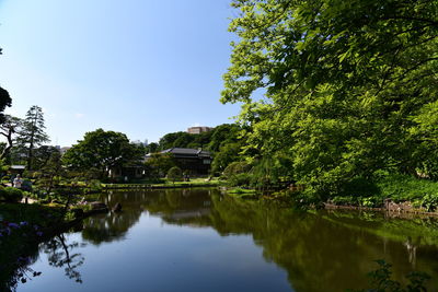 Scenic view of lake by trees against sky