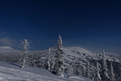 Sunny winter morning in the mountains of sheregesh on the ski track