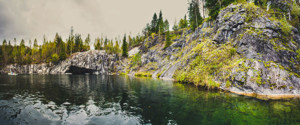 Scenic view of tree by mountain against sky
