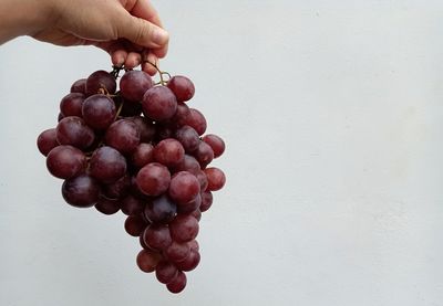 Midsection of person holding grapes