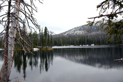 Scenic view of lake by trees against sky