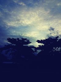 Low angle view of silhouette trees against sky