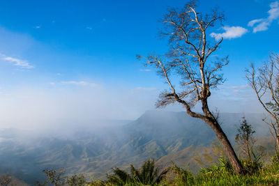 Scenic view of mountains against blue sky