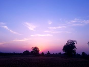 Scenic view of field against sky at sunset