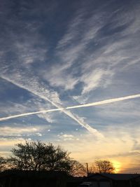 Silhouette of trees at sunset