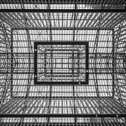 Ceiling of rijksmuseum