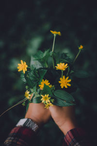Midsection of woman holding flowering plant
