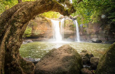 Scenic view of waterfall in forest