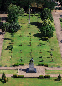 High angle view of plants in garden