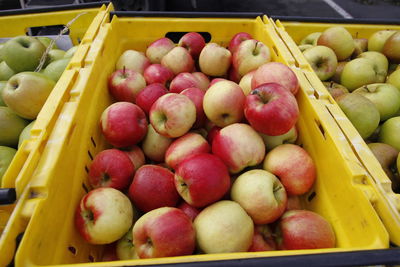 Close-up of fruits in crate at market