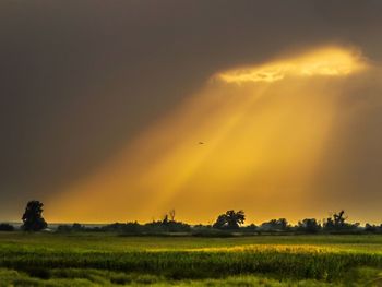 Scenic view of field against sky during sunset