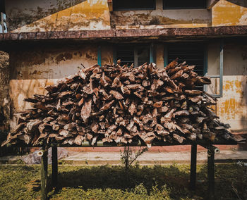 Stack of wooden logs on field