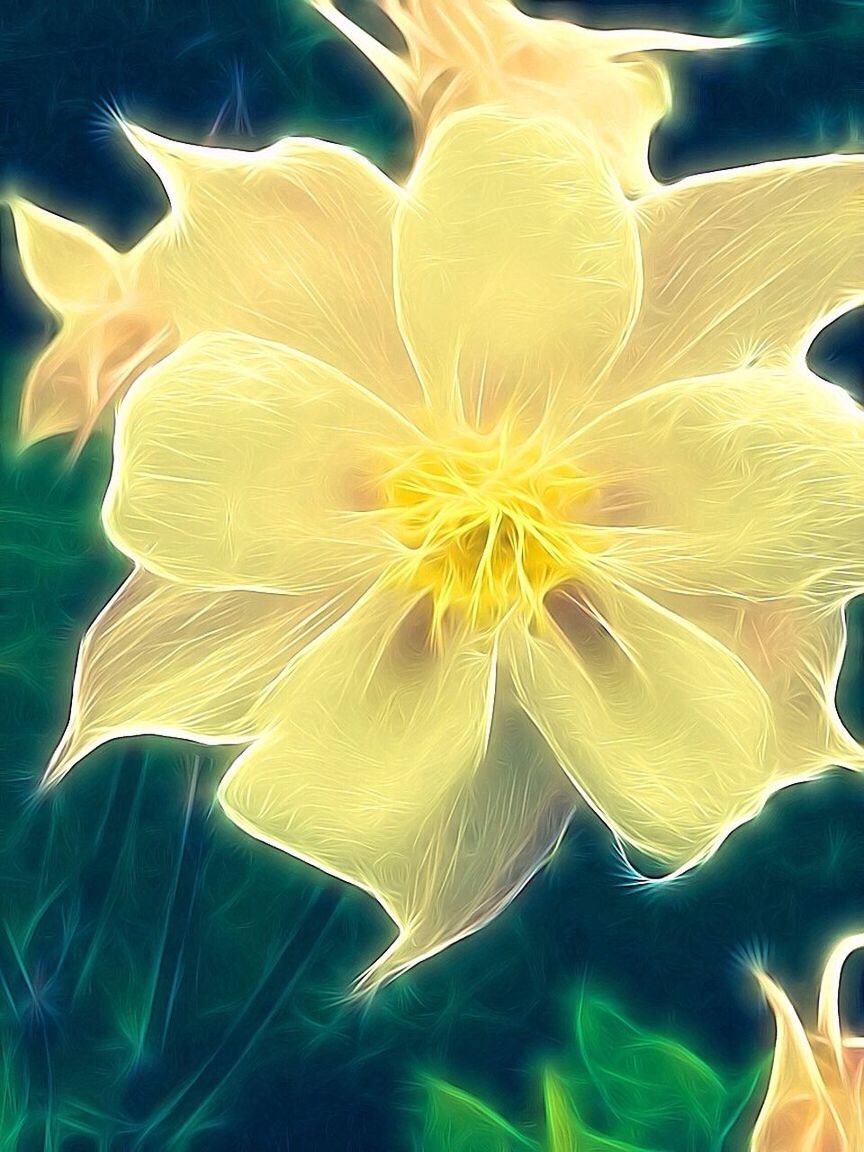 Yellow flower