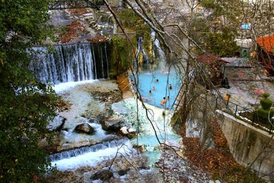 River flowing through forest