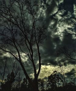 Low angle view of bare trees against cloudy sky