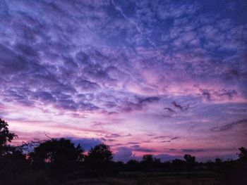 Silhouette trees against dramatic sky during sunset