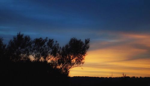 Silhouette of trees at sunset