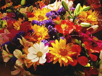 Close-up of flowers