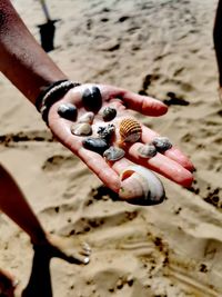 Person holding crab on sand at beach