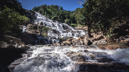 Scenic view of waterfall in forest