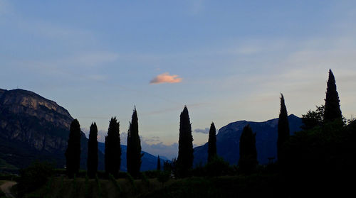 Panoramic view of trees against sky during sunset