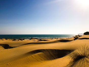 Scenic view of beach against clear sky