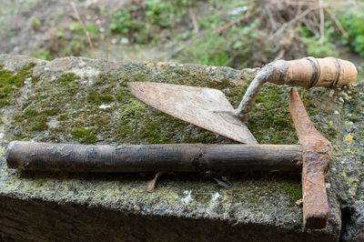 Close-up of old wooden log in forest