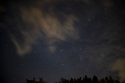 Low angle view of trees against sky at night