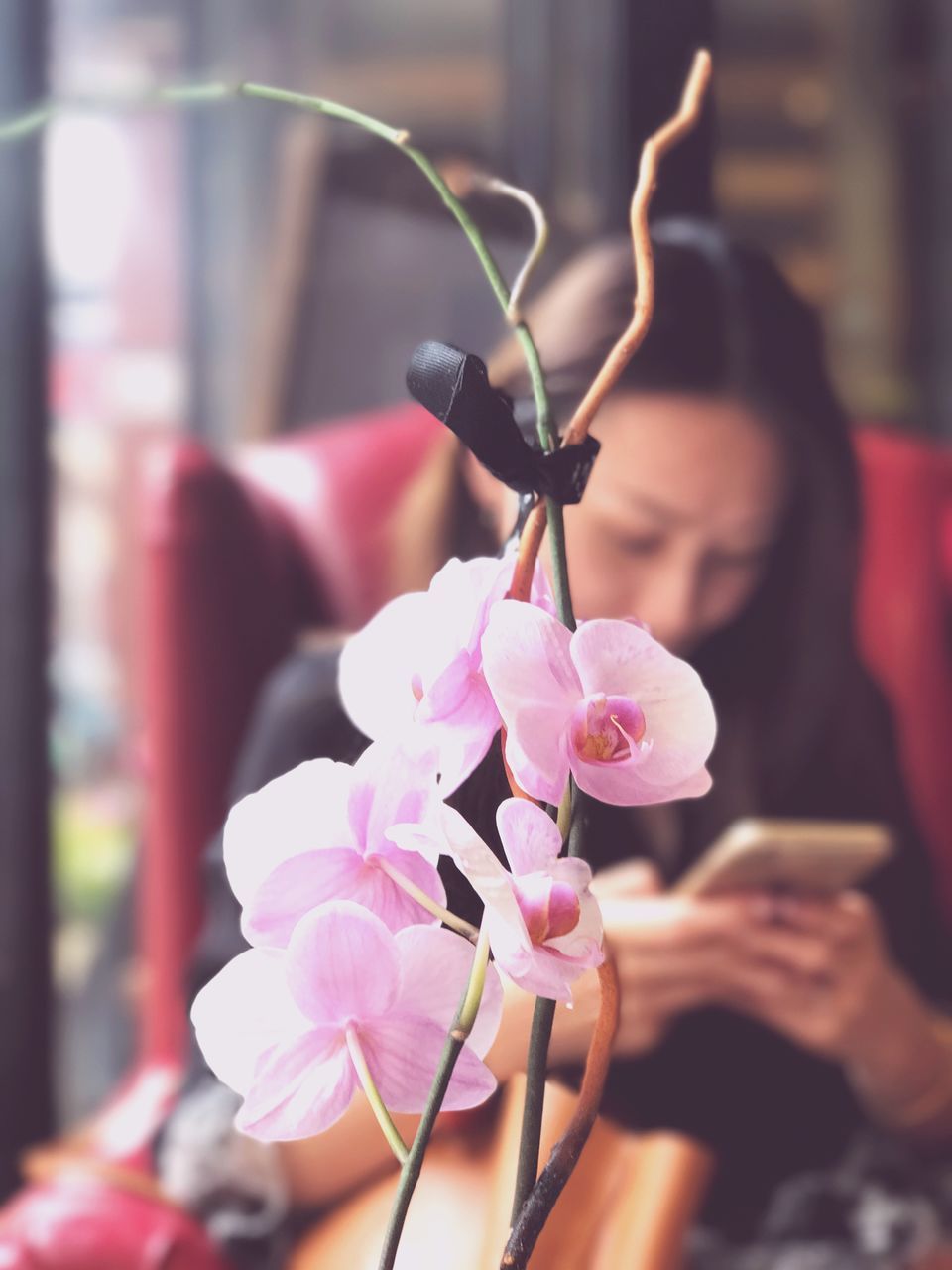 real people, one person, focus on foreground, holding, women, pink color, lifestyles, communication, close-up, day, indoors, wireless technology, young women, flower, technology, young adult, human hand, freshness, people