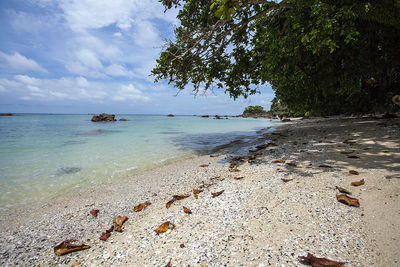 Scenic view of beach against sky